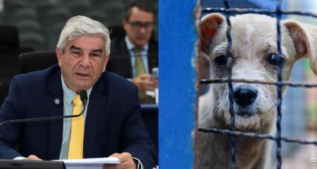 Veterinário Francisco cobrou estrutura digna e alertou que o abandono de animais nas ruas afeta diretamente a saúde pública