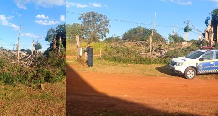 A &aacute;rvore teria caido sobre a cabe&ccedil;a da v&iacute;tima, que faleceu ainda no local
