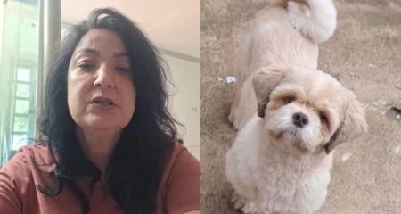 O animal est&aacute; desaparecido h&aacute; quase um m&ecirc;s e necessita de cuidados especiais 