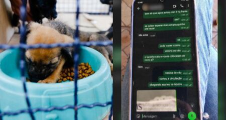 Imagem Ilustrativa/Conversa entre tutora e pet shop cedida ao TopMídiaNews