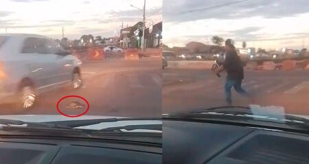 O homem levou o animal para fora da via, para pr&oacute;ximo do c&oacute;rrego da regi&atilde;o