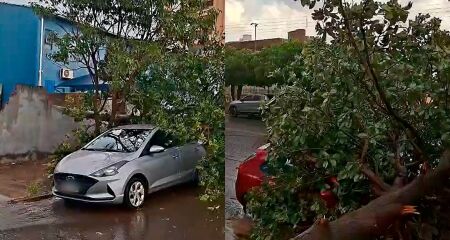 As chuvas acompanhadas de ventos fortes afetaram diferentes regi&otilde;es da cidade e exigem aten&ccedil;&atilde;o redobrada de motoristas e pedestres