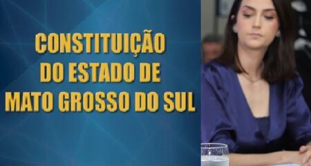Candidata praticamente copiou lei 