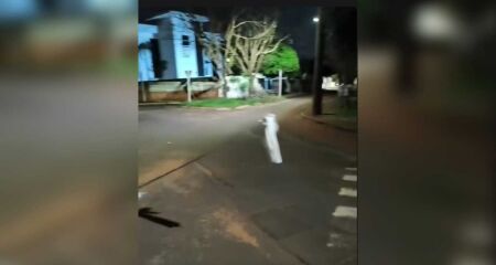 Fio está sinalizado com sacolinha