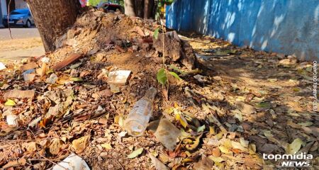 Moradores denunciam obst&aacute;culos no caminho de escola municipal e do CRAS do bairro