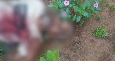 Moradora ouviu disparos durante a noite e encontrou Sebastião no jardim ao sair para ir à igreja