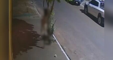 Recipientes ficavam em frente a comércio para alimentar animais abandonados