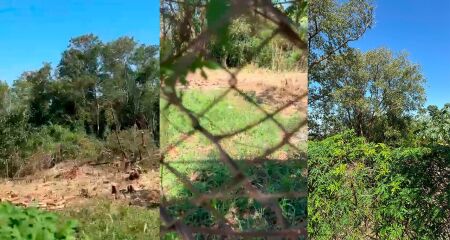 Local serve de abrigo para diferentes animais na região segundo moradora