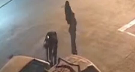 Apesar de as chamas terem atingido os ve&iacute;culos, ningu&eacute;m ficou ferido