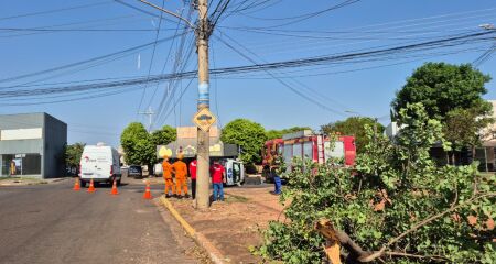 Os dois motoristas trabalhavam no momento do acidente