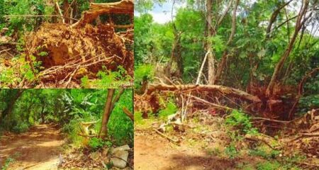 Estrada irregular motivou inquérito