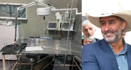 Ministério Público cobra a implantação de um CCZ no município, além de políticas públicas para animais de rua