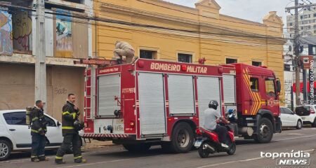 Dentro do prédio foi encontrado um pedaço de madeira em chamas