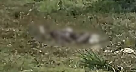 Vítima foi encontrada na tarde desta quarta-feira (9)