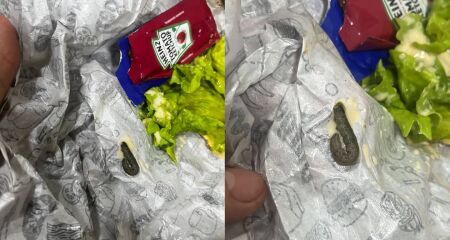 Consumidora percebeu cheiro diferente no alimento, mas só descobriu o inseto quando o marido abriu o lanche
