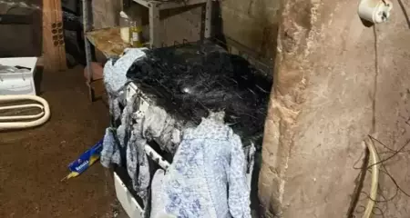 Vítima conseguiu fugir sem ser atingida; suspeito foi localizado com duas facas