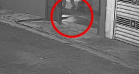 Câmera flagrou possível agressão; mais imagens mostram animal magro e sozinho na chuva