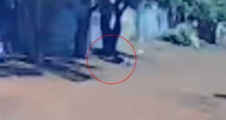 Homem corre pela rua, mas cai pr&oacute;ximo a uma &aacute;rvore e n&atilde;o resiste aos ferimentos