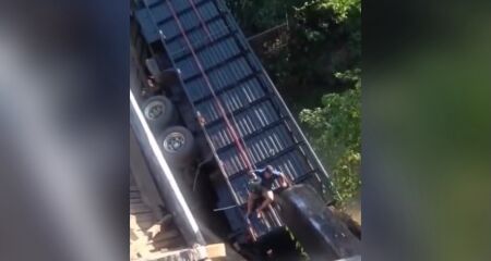 Motorista não ficou ferido, mas parte dos animais morreu