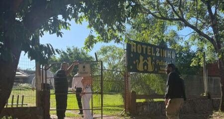 Ministério Público recomendou suspensão das atividades até que sejam verificadas as condições sanitárias, os cuidados veterinários e a regularidade do estabelecimento