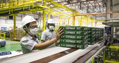 Celulose virou destaque da economia