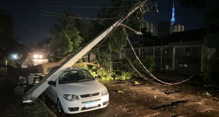 Vereador questiona redu&ccedil;&atilde;o para R$ 370 mil para 2027; hist&oacute;rico recente inclui &aacute;rvores sobre carros e reclama&ccedil;&otilde;es de pedidos de poda