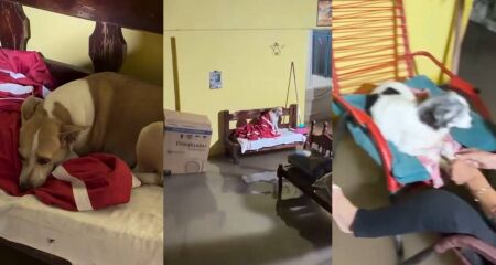 A casa est&aacute; localizada em uma parte mais baixa da rua, onde dois idosos e animais moram sozinhos
