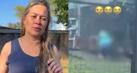 Mulher disse que agiu no desespero ao ver cão atacando o outro