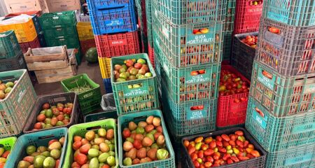 Tomate est&aacute; R$ 70 acima do pre&ccedil;o m&eacute;dio habitual; cenoura, ma&ccedil;&atilde; e mel&atilde;o ficaram mais baratos na semana