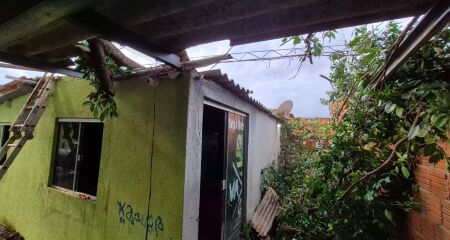 Morador acionou &oacute;rg&atilde;os p&uacute;blicos antes da queda e agora est&aacute; com a fam&iacute;lia na chuva enquanto aguarda retirada da &aacute;rvore