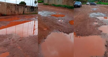 Situação da rua colocou animais em risco