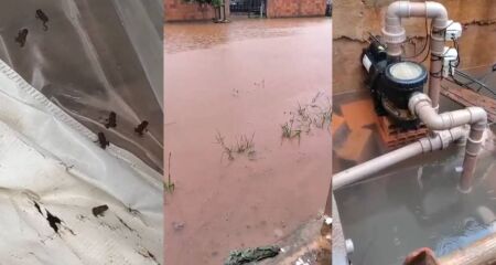Proprietária de escola de natação relata aparecimento de animais em imóveis e está com aulas suspensas após alagamento; bomba do aquecedor já estragou duas vezes