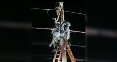 Ele foi resgatado por colegas