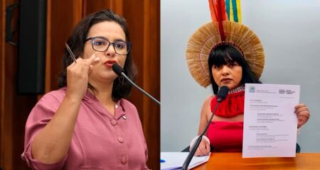 Gleice Jane (PT-MS) levou o caso a Alems durante a se&ccedil;&atilde;o desta ter&ccedil;a-feira