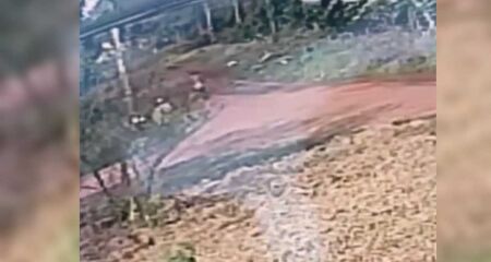 Homem tamb&eacute;m teria abusado de duas crian&ccedil;as, sendo uma delas um beb&ecirc; de apenas 2 meses