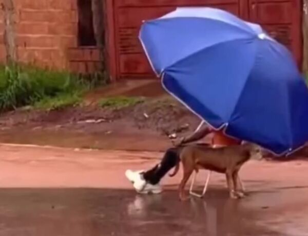 Chuvas que atingiram a região transformaram rua em rio 