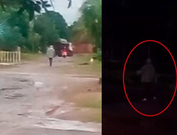 Quando o homem sai para passear com seus c&atilde;es sem coleira, eles costumam avan&ccedil;ar nos pedestres