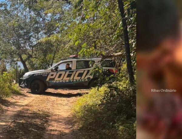 V&iacute;tima indicou que o autor seria um dos colegas com quem foi ao rio
