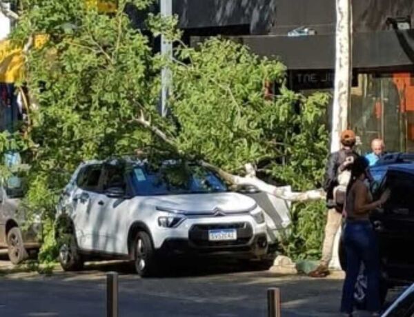 Pedestres quase foram atingidos durante a queda 