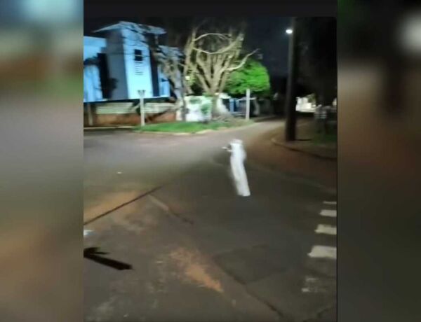 Fio est&aacute; sinalizado com sacolinha