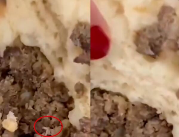 V&iacute;deo divulgado pela cliente mostra larvas no recheio da carne mo&iacute;da