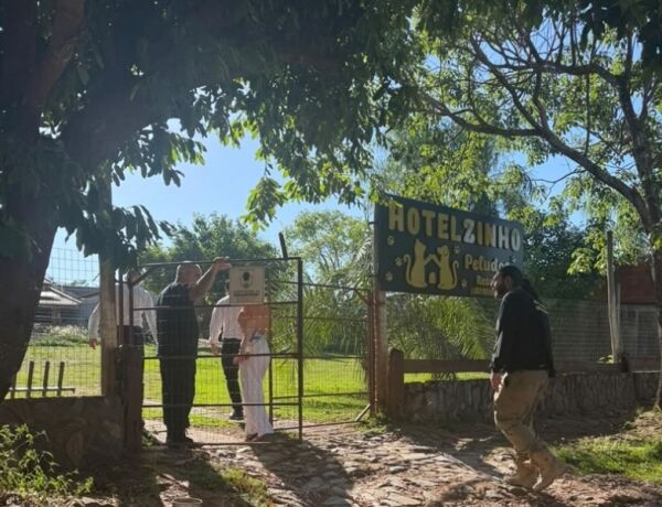 Minist&eacute;rio P&uacute;blico recomendou suspens&atilde;o das atividades at&eacute; que sejam verificadas as condi&ccedil;&otilde;es sanit&aacute;rias, os cuidados veterin&aacute;rios e a regularidade do estabelecimento