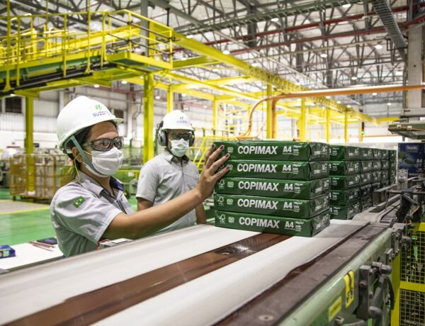 Celulose virou destaque da economia 