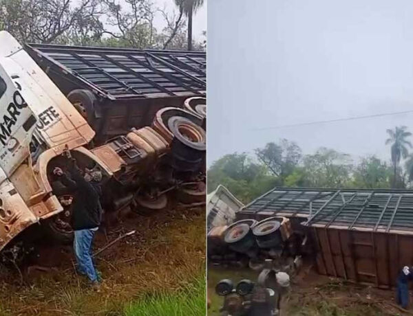 O ve&iacute;culo tombou &agrave;s margens da rodovia e outros motoristas prestaram ajuda