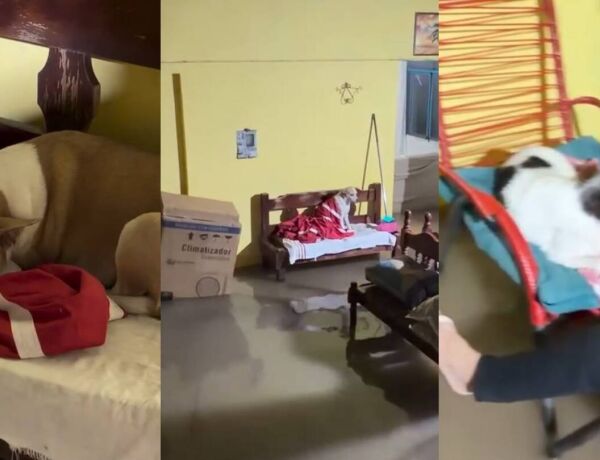 A casa est&aacute; localizada em uma parte mais baixa da rua, onde dois idosos e animais moram sozinhos
