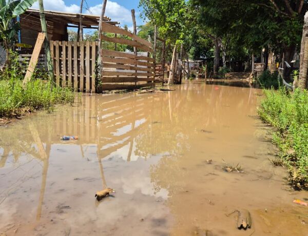 Moradores precisaram mudar barracos de lugar para tentar escapar dos alegamentos 