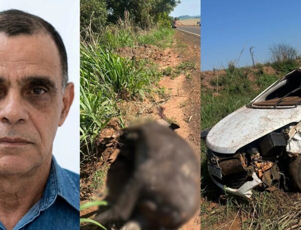 Cerca de 30 tabletes de drogas foram encontrados dentro do ve&iacute;culo