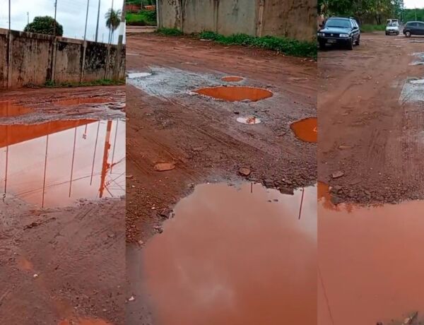 Situa&ccedil;&atilde;o da rua colocou animais em risco 