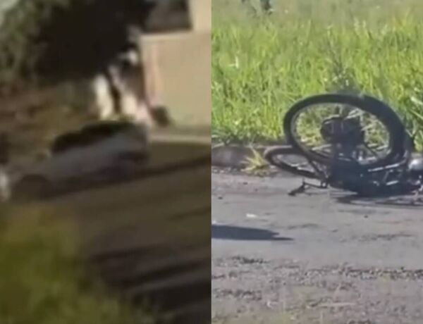 V&iacute;tima estava em uma bicicleta el&eacute;trica quando foi atingida por um HB20 em um cruzamento