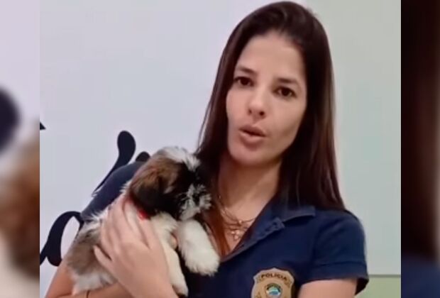 Suspeita divulgou v&iacute;deo jogando e chutando filhote em pra&ccedil;a p&uacute;blica